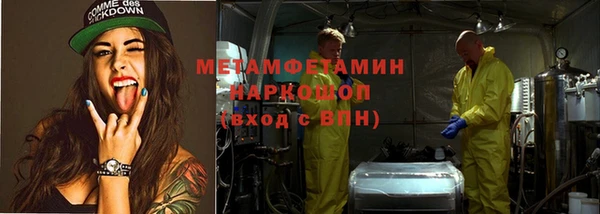 гидра Богородицк