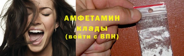 шишки Бронницы