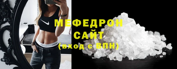 гидра Богородицк