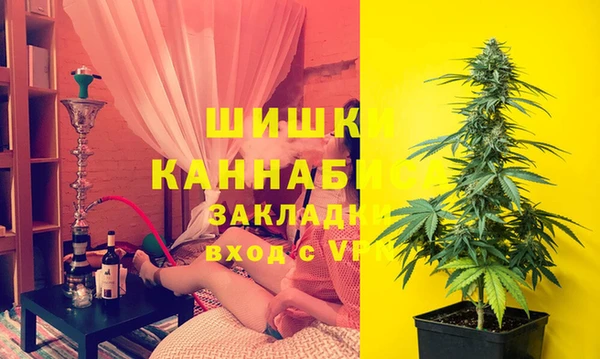гидра Богородицк