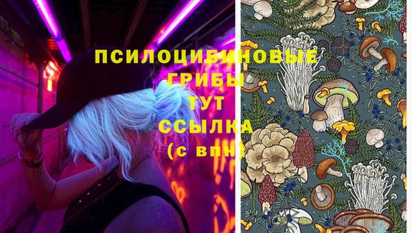 шишки Бронницы