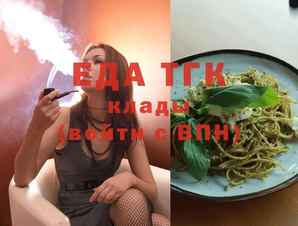 гидра Богородицк