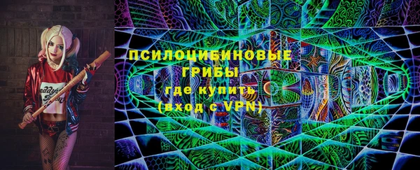 гидра Богородицк