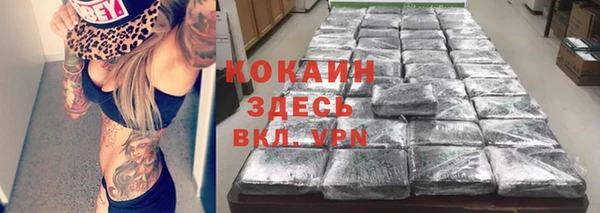 гидра Богородицк