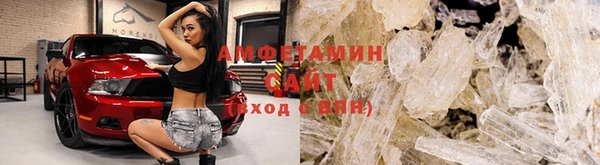 гидра Богородицк