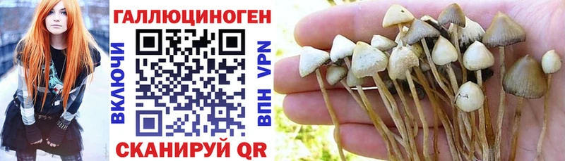 Галлюциногенные грибы GOLDEN TEACHER  Донской 
